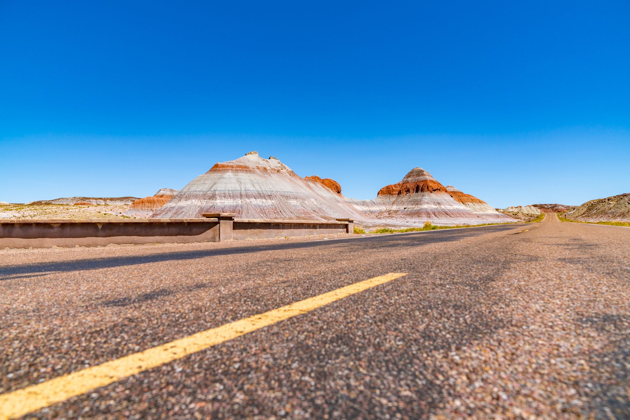 Petrified Forest Road