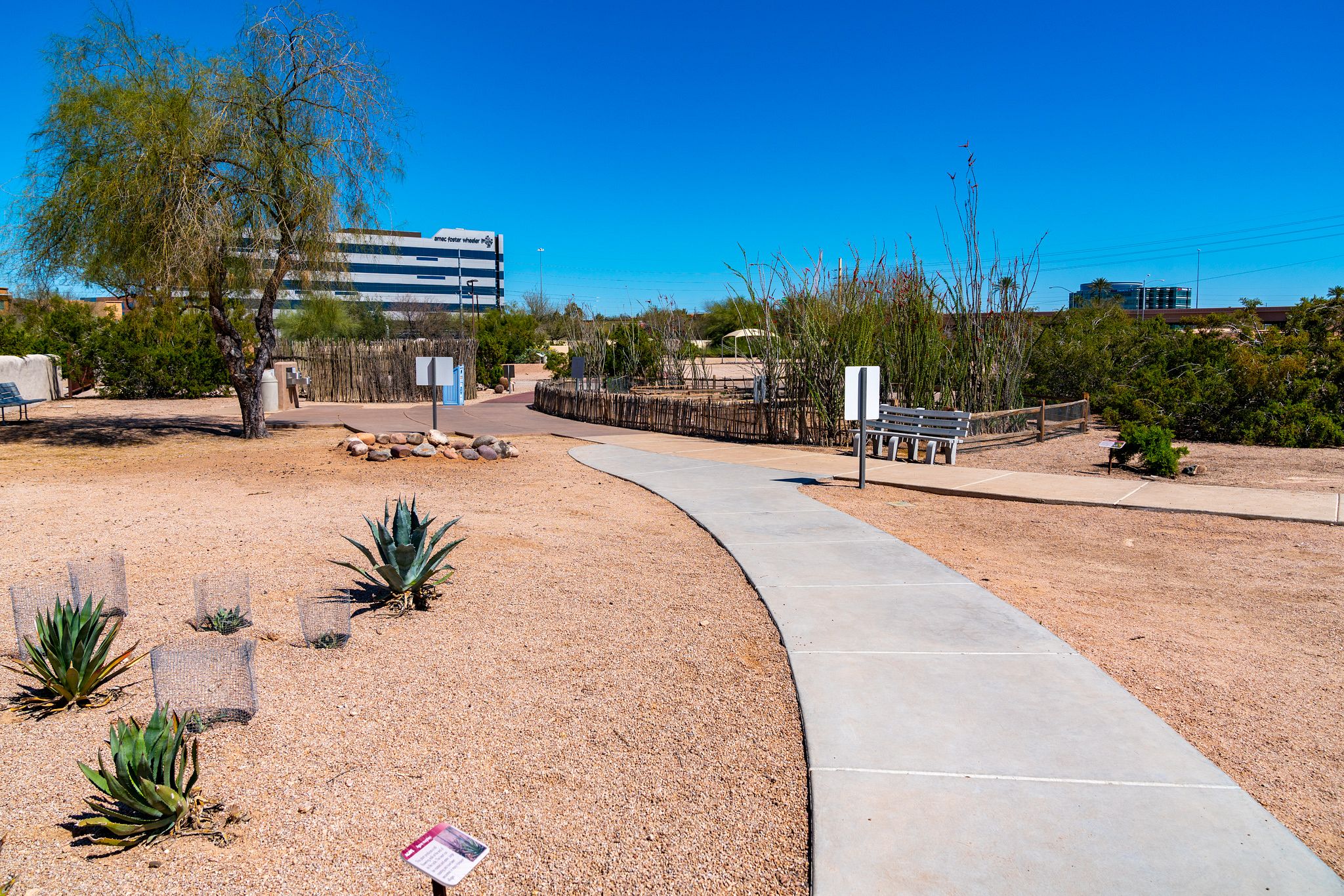 Exploratory Trail at Pueblo Grande Museum