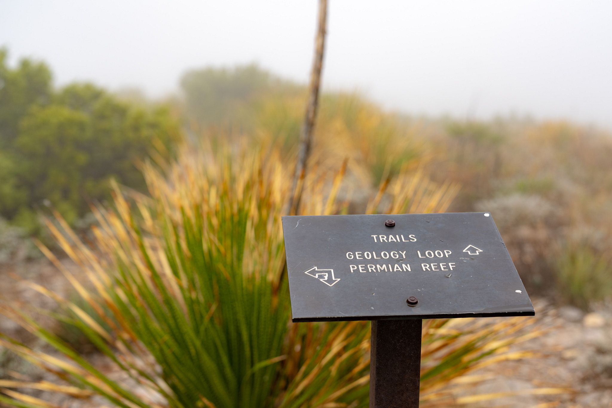 Permian Reef Geology Trail