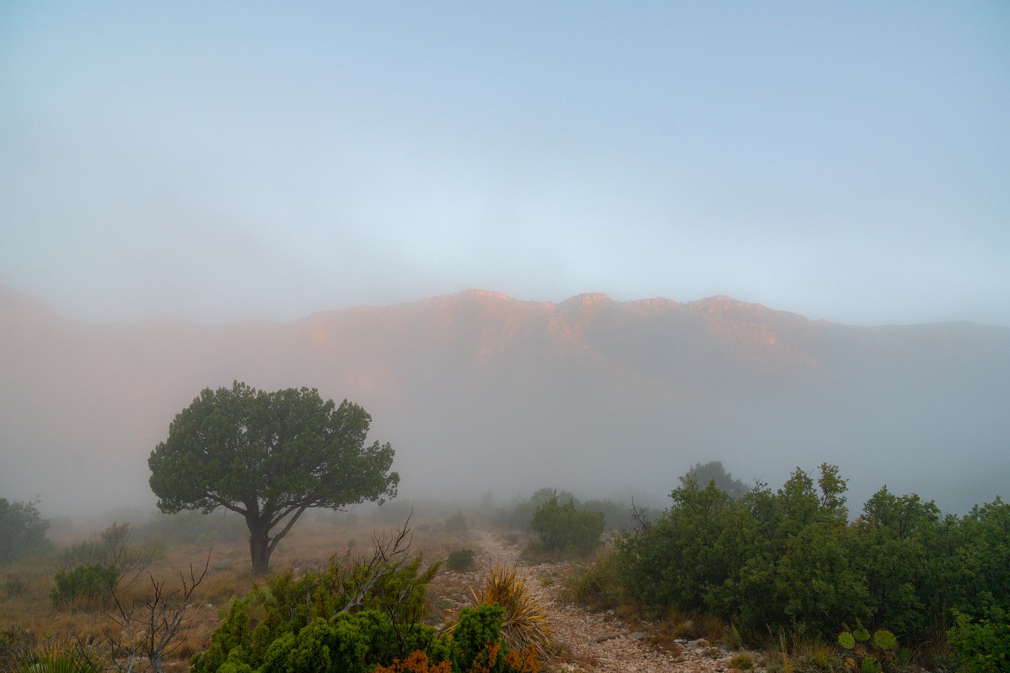 Fog on Smith Spring Trail