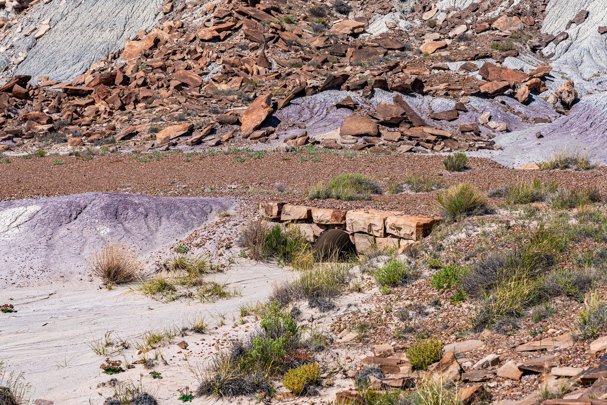 Japer Forest Stone Culverts