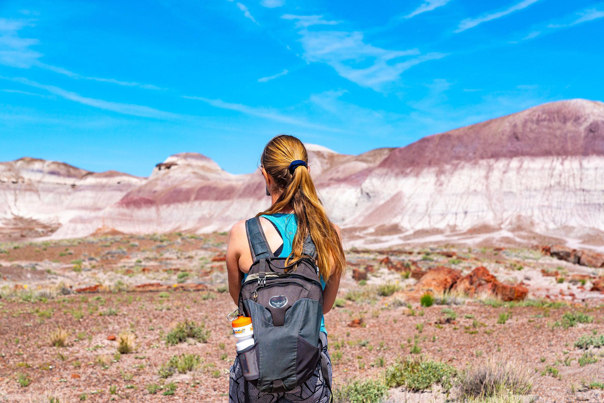 Petrified Forest National Park Views