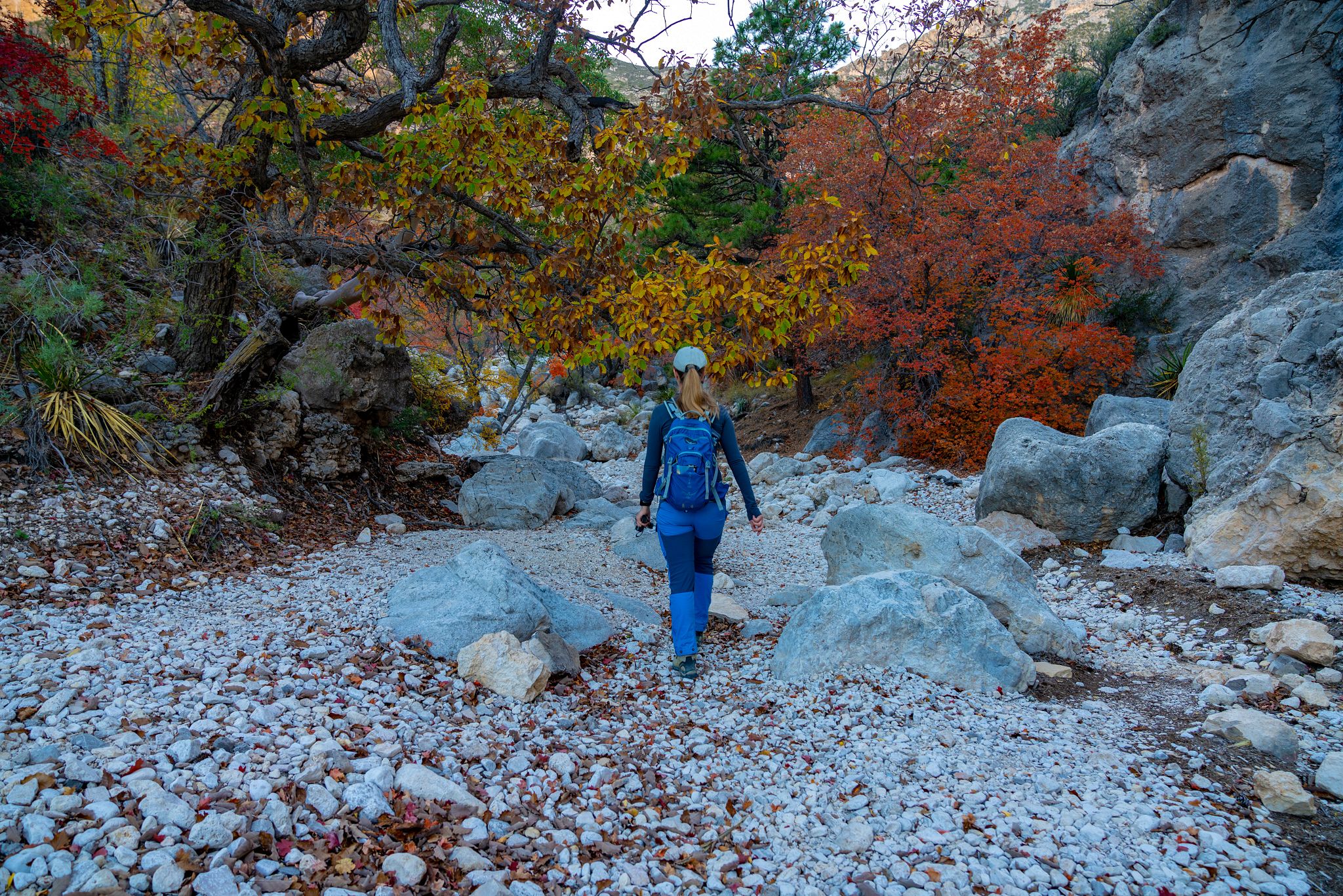 Devil's Hall Trail