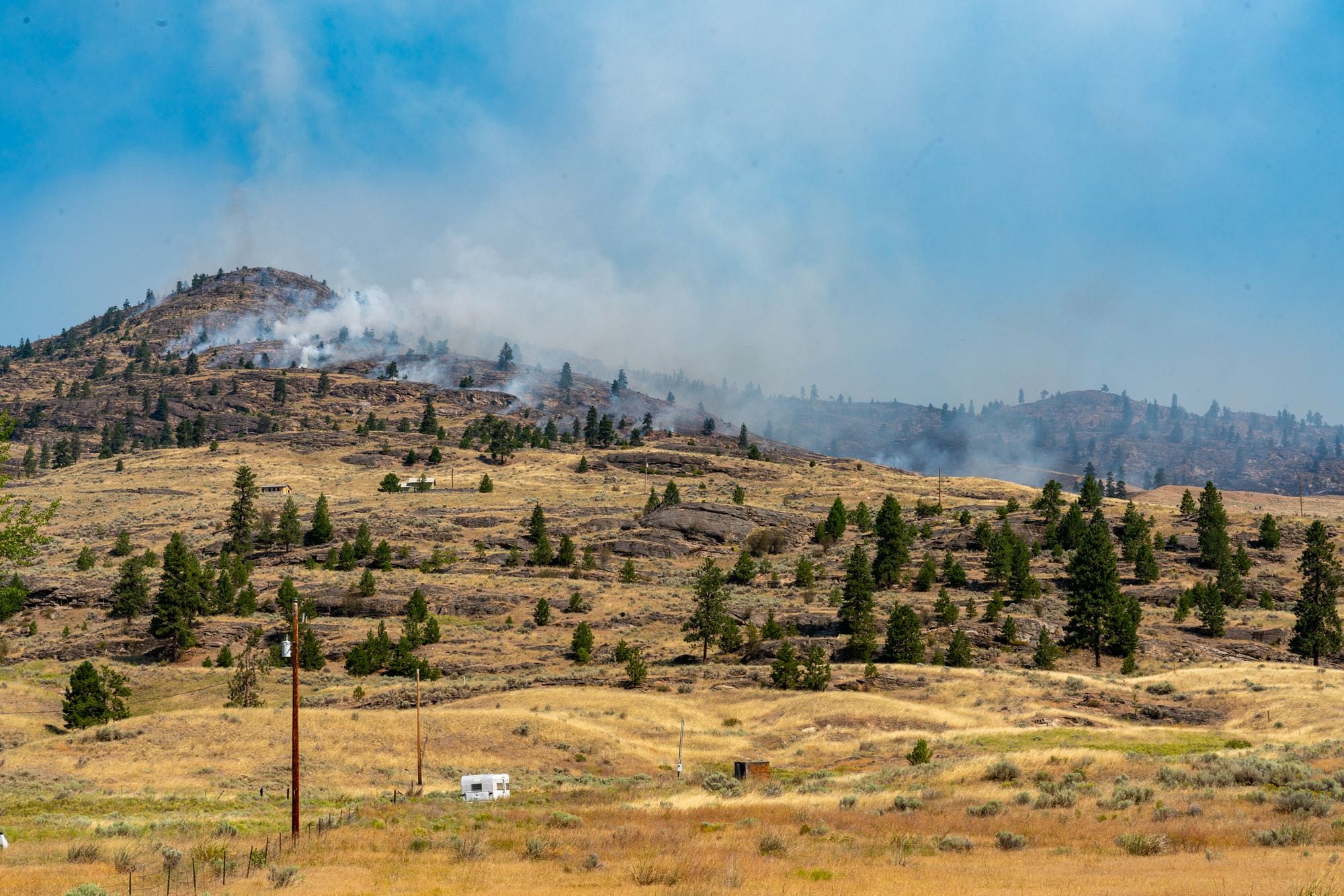 Anglin Wildfire
