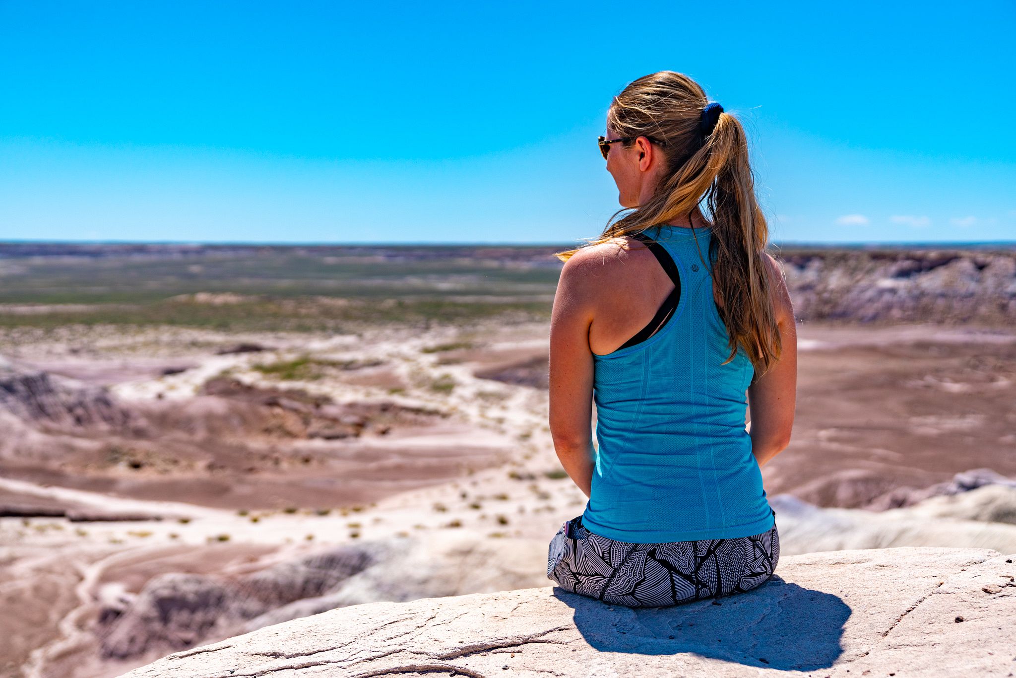 Petrified Forest View