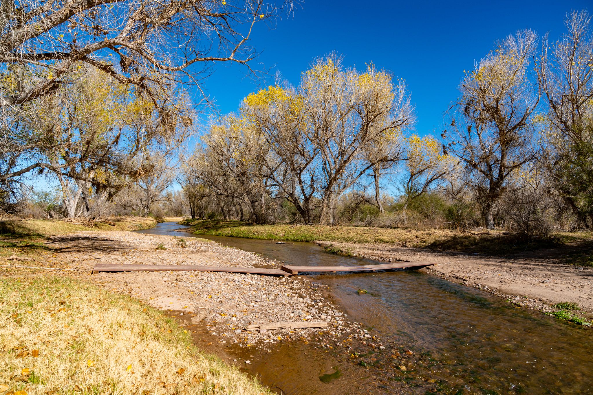 Bridge over Santa Cruz River