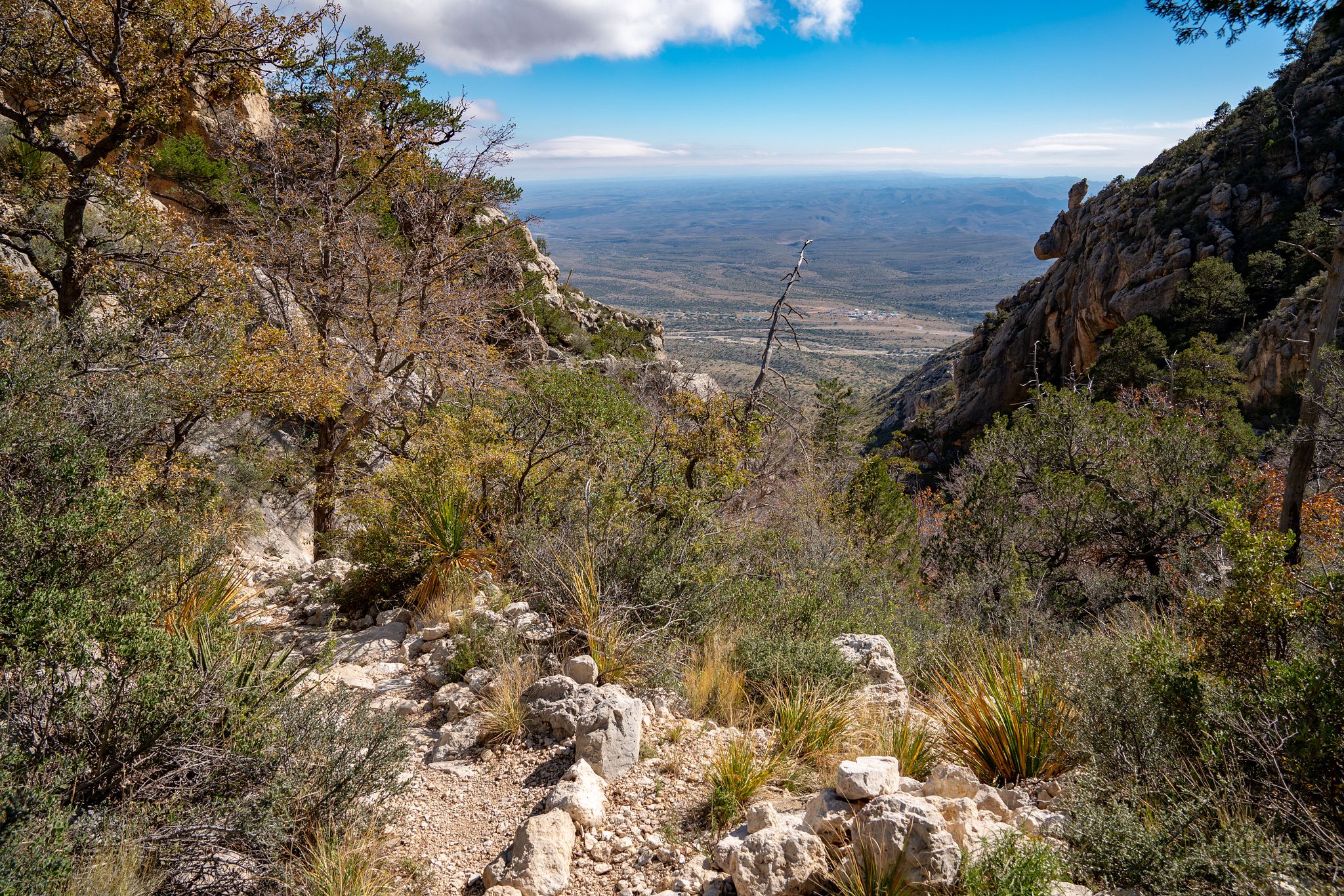 Bear Canyon Trail