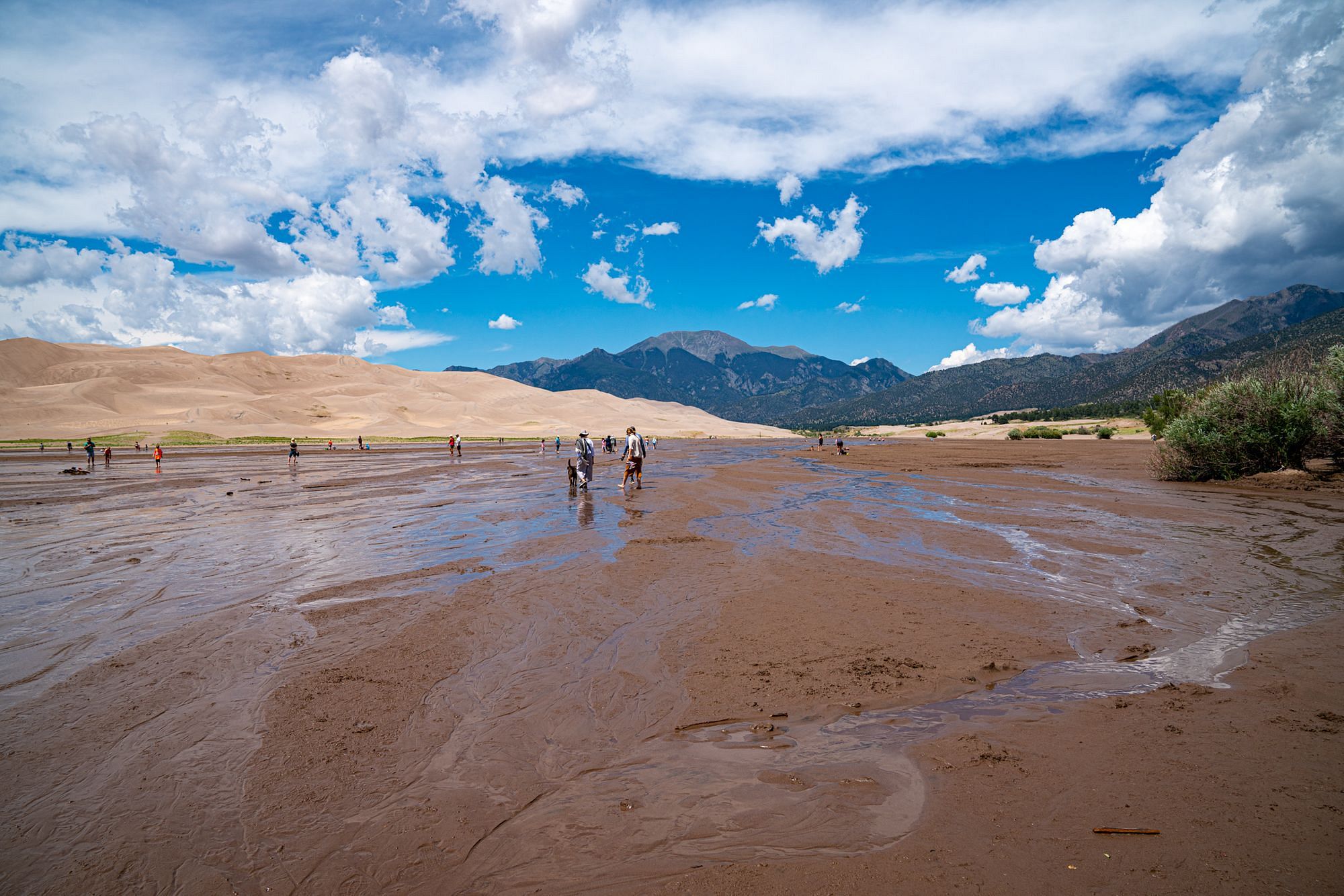 People in Medano Creek