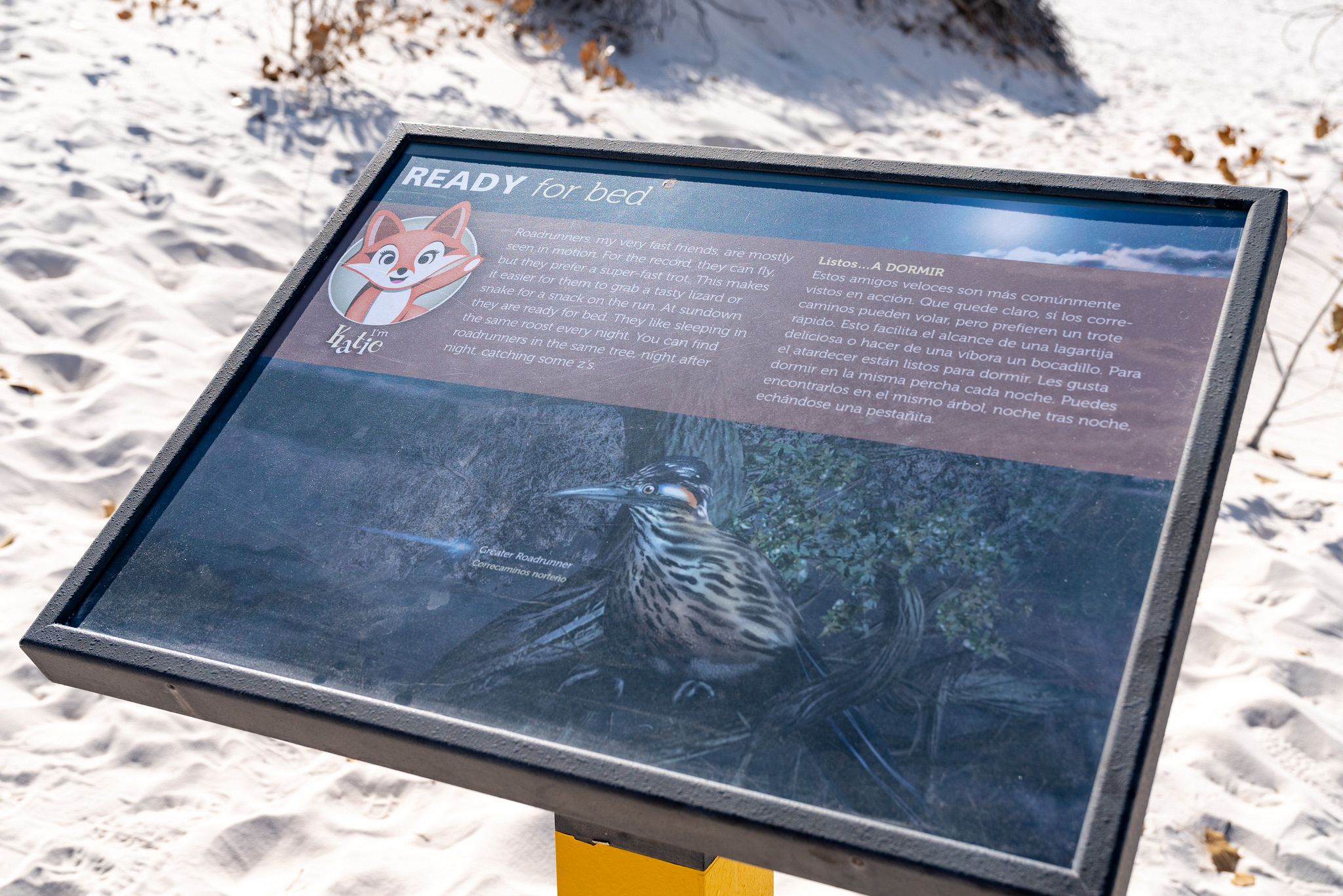 Dune Life Nature Trail