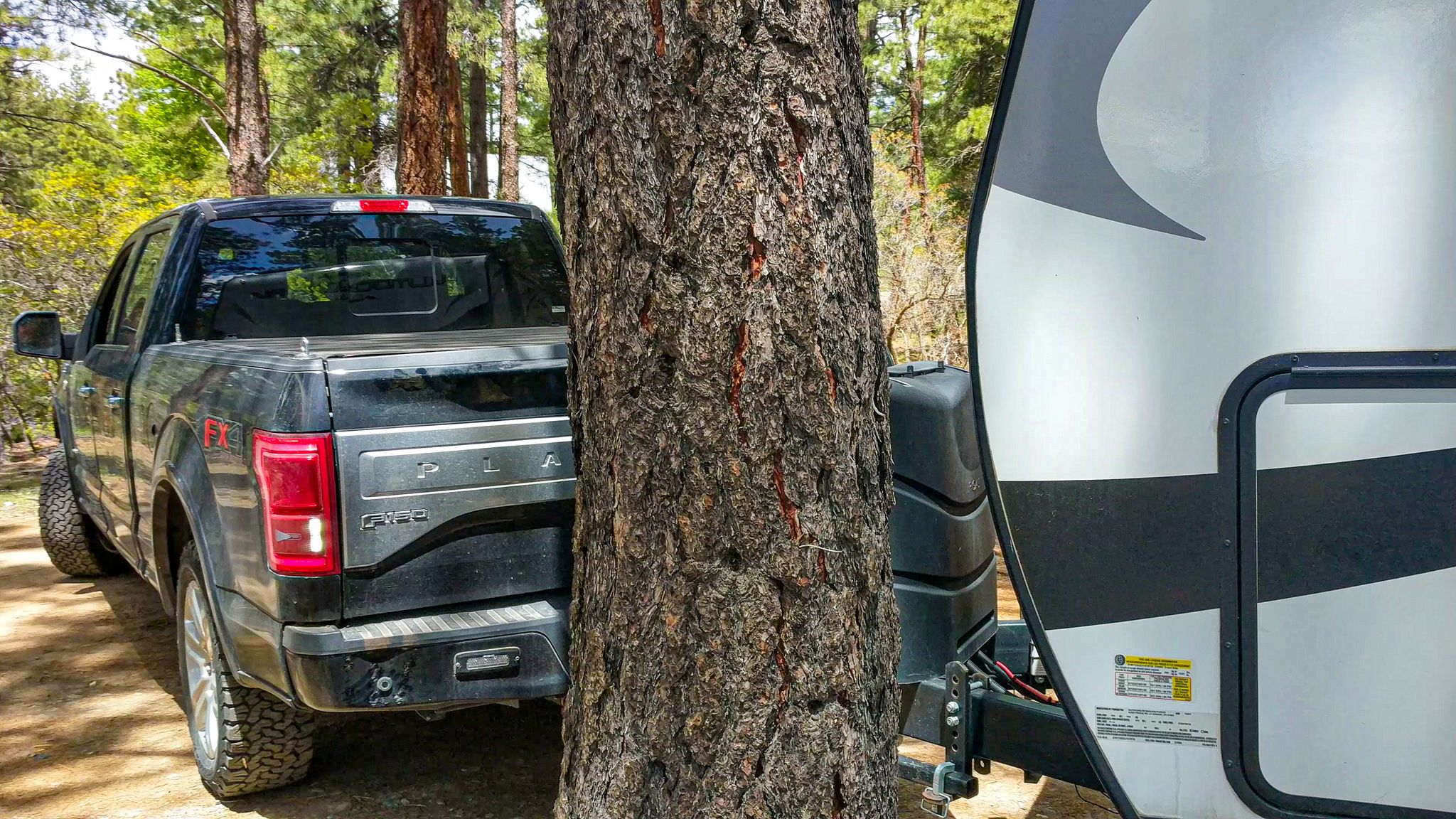 Crashing into a tree
