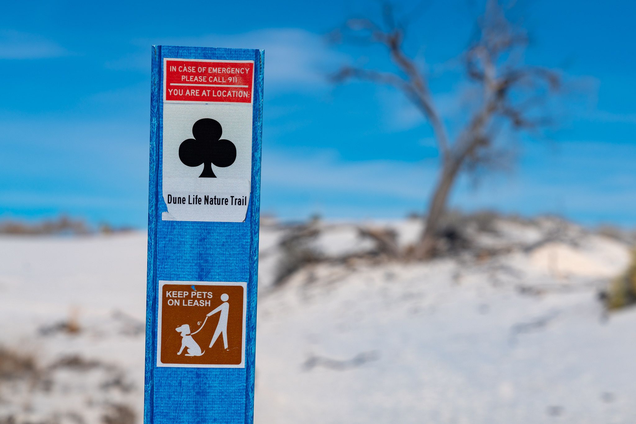 Dune Life Nature Trail