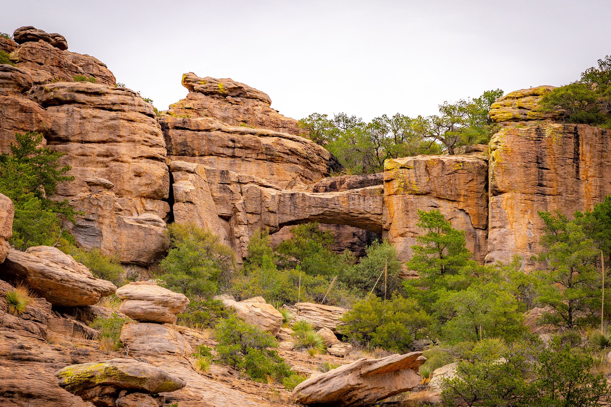 Natural Bridge, Chiricahua National Monument