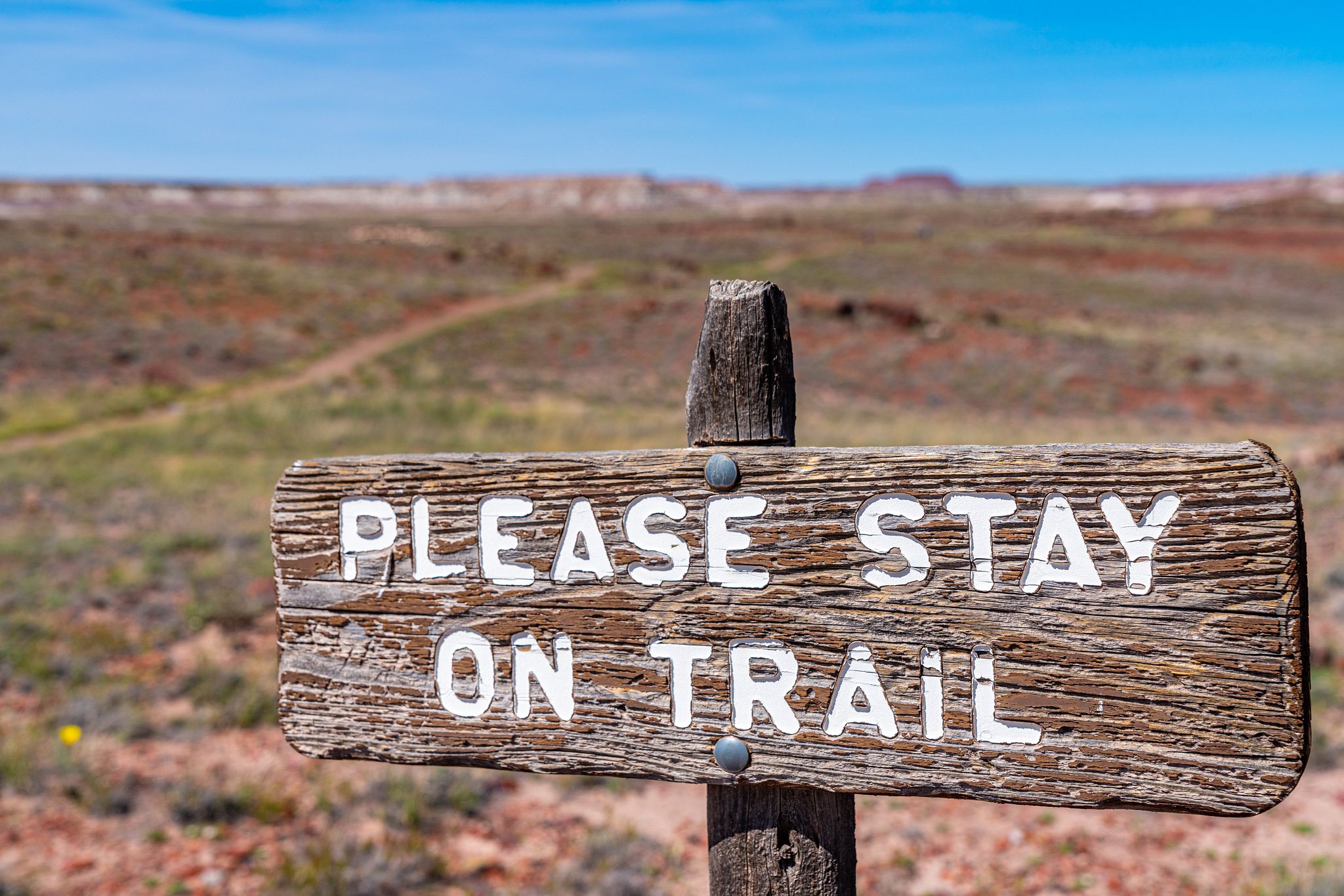 Please Stay on the Trail