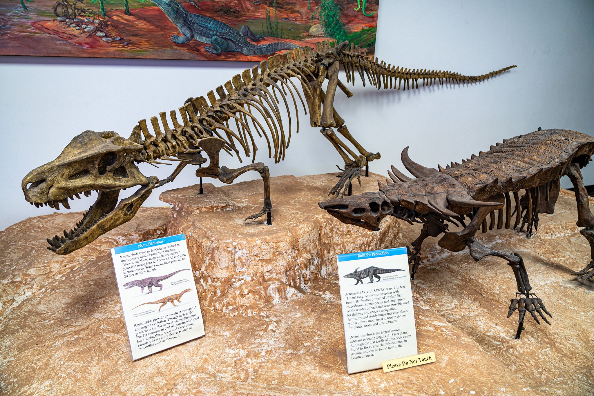 petrified forest dinosaurs